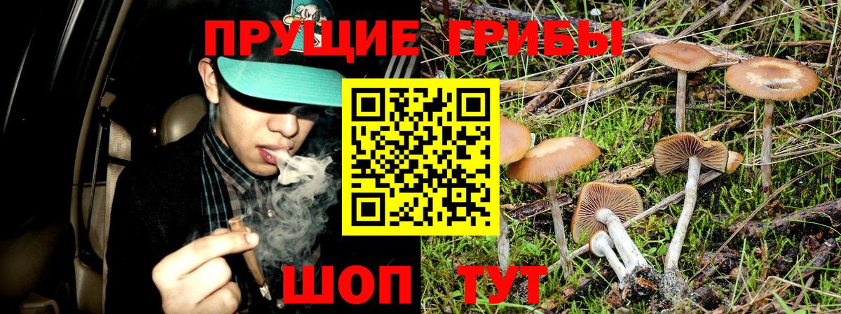 Омск  Галлюциногенные грибы MAGIC MUSHROOMS  Псилоцибиновые грибы ЛСД  Вход с VPN 